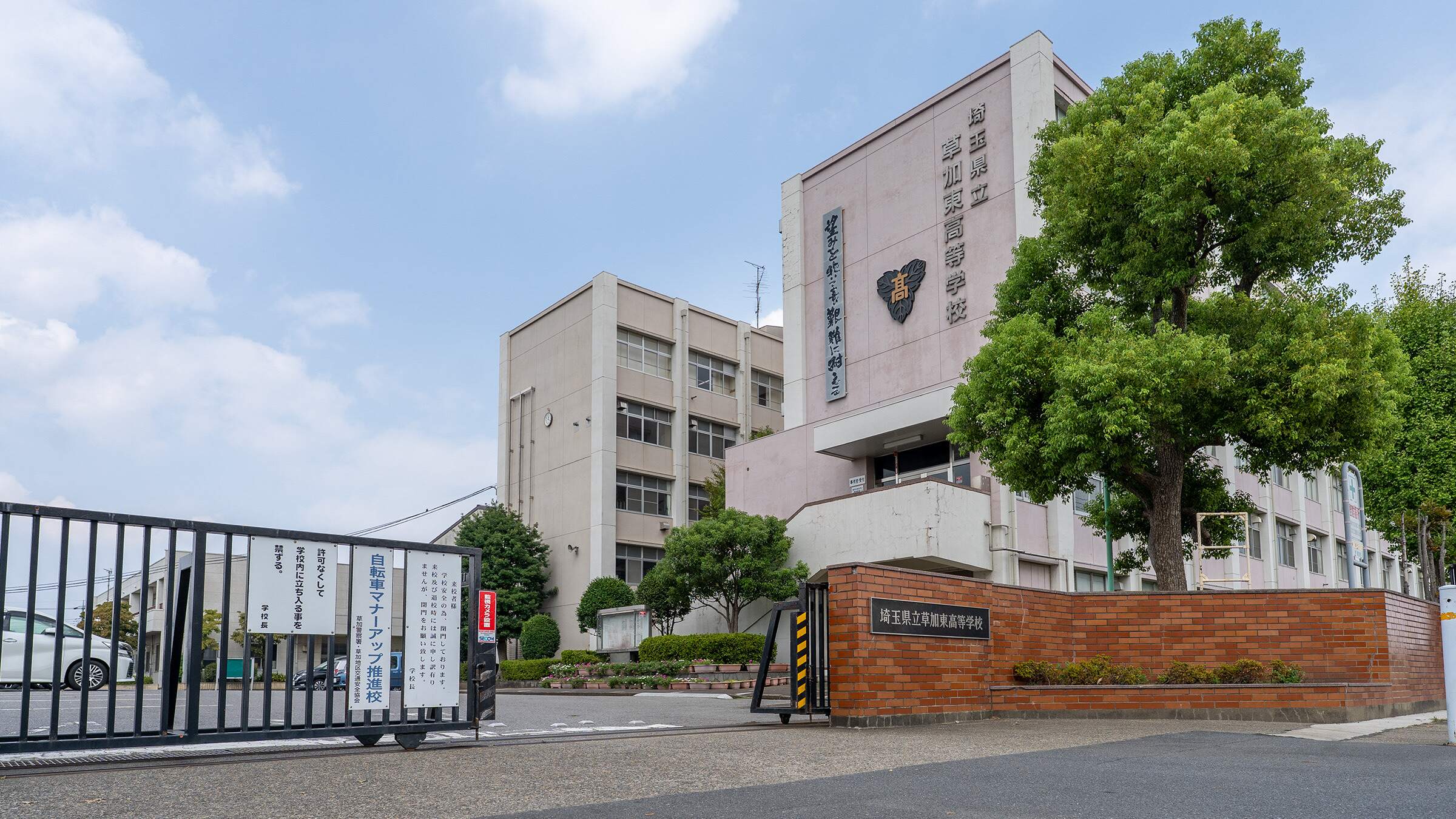 活動歴および当時の関連ビジュアル記録