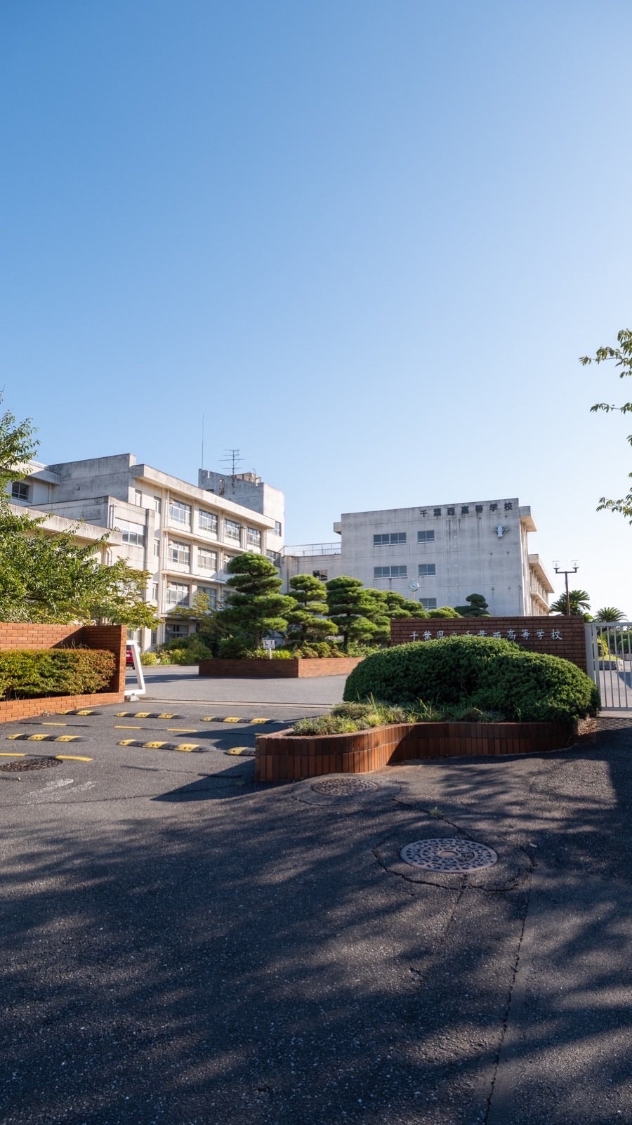 公の場での発言・インタビュー報道記録