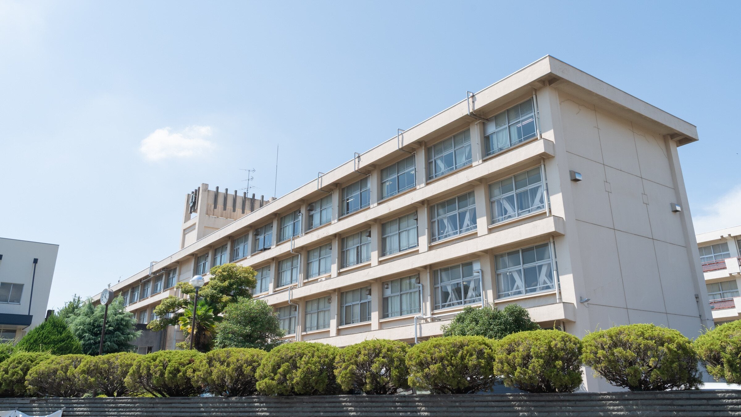県立 柏 高校