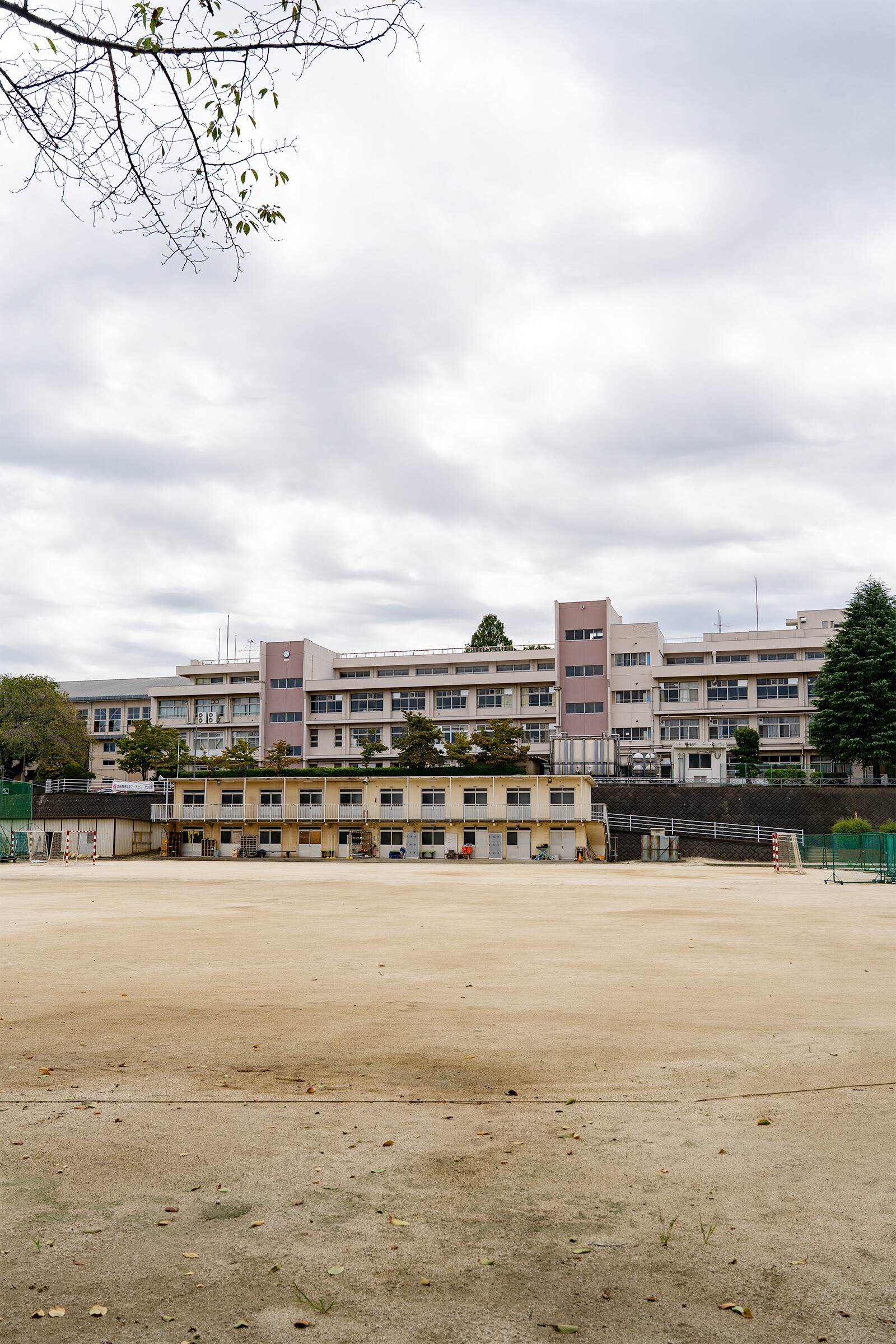 おおたか の 森 高校
