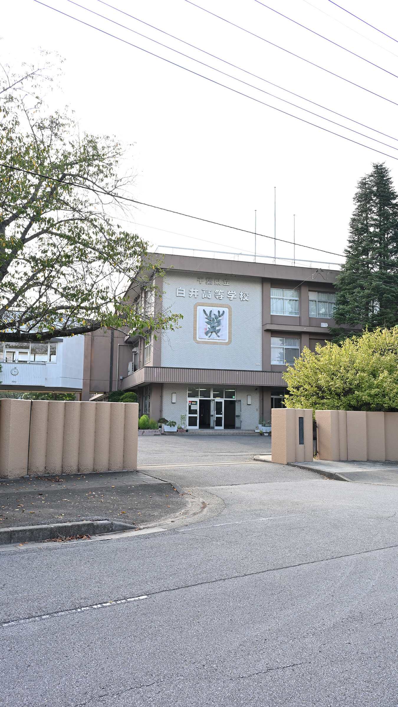 千葉 県立 白井 高等 学校