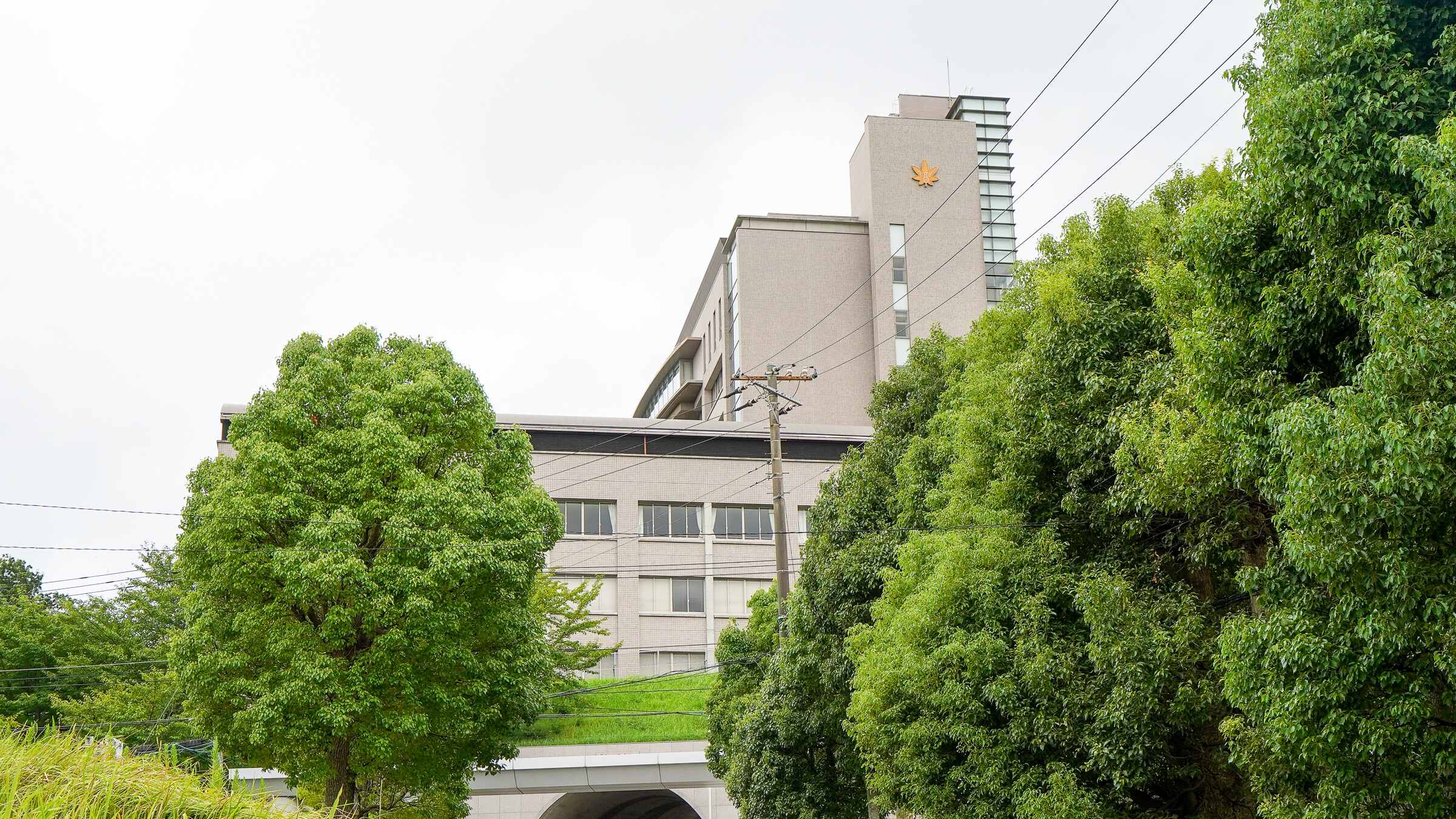 拓殖大学紅陵高等学校 - 基本情報 | Ameba学校探し