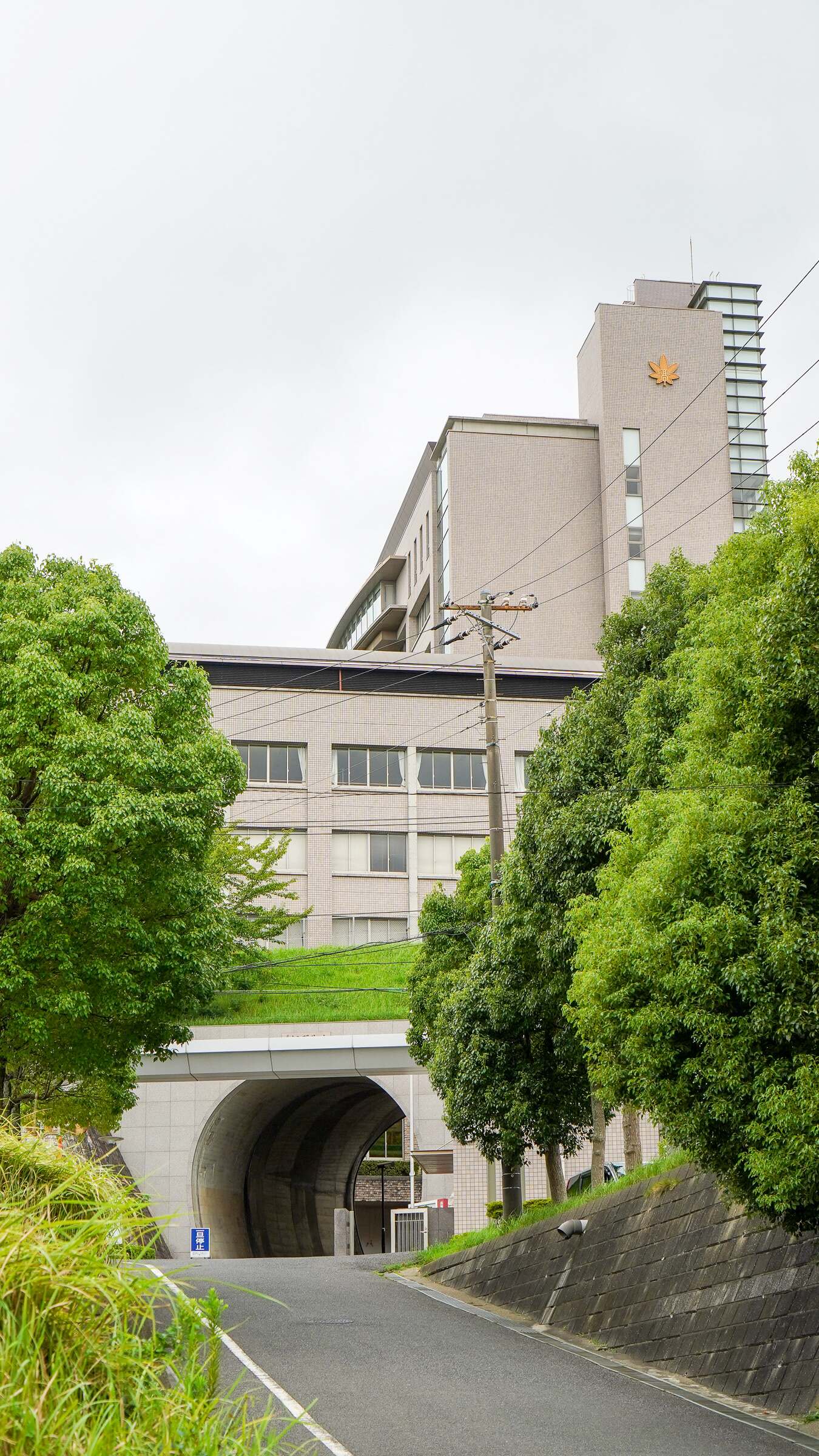 拓殖大学紅陵高等学校 - 基本情報 | Ameba学校探し