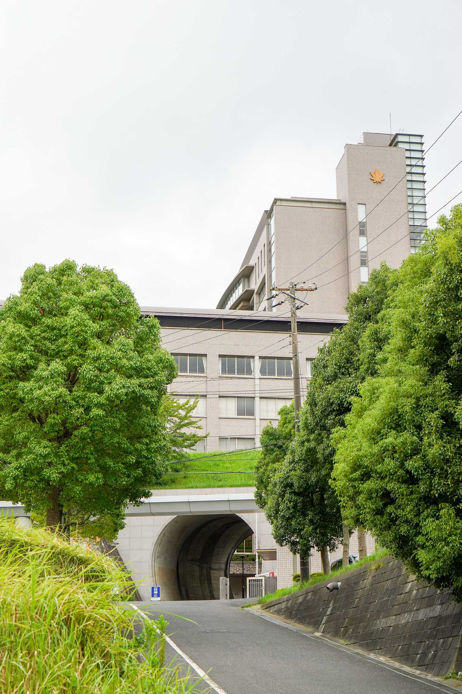 拓殖大学紅陵高等学校 - 基本情報 | Ameba学校探し