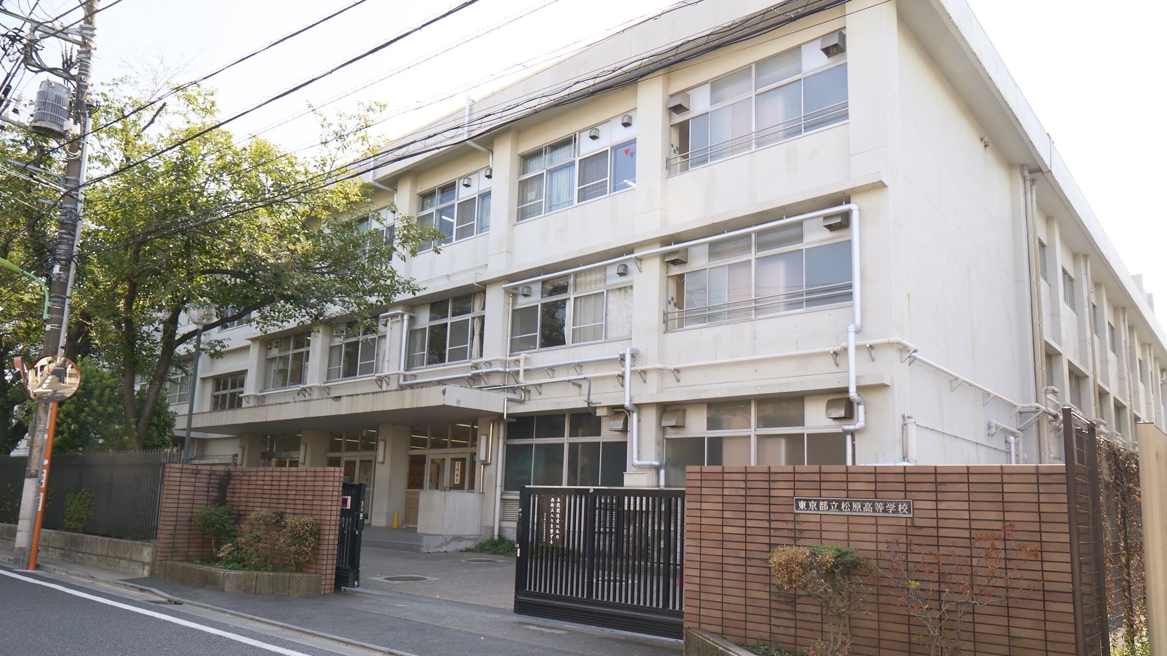 公の場での発言・インタビュー報道記録
