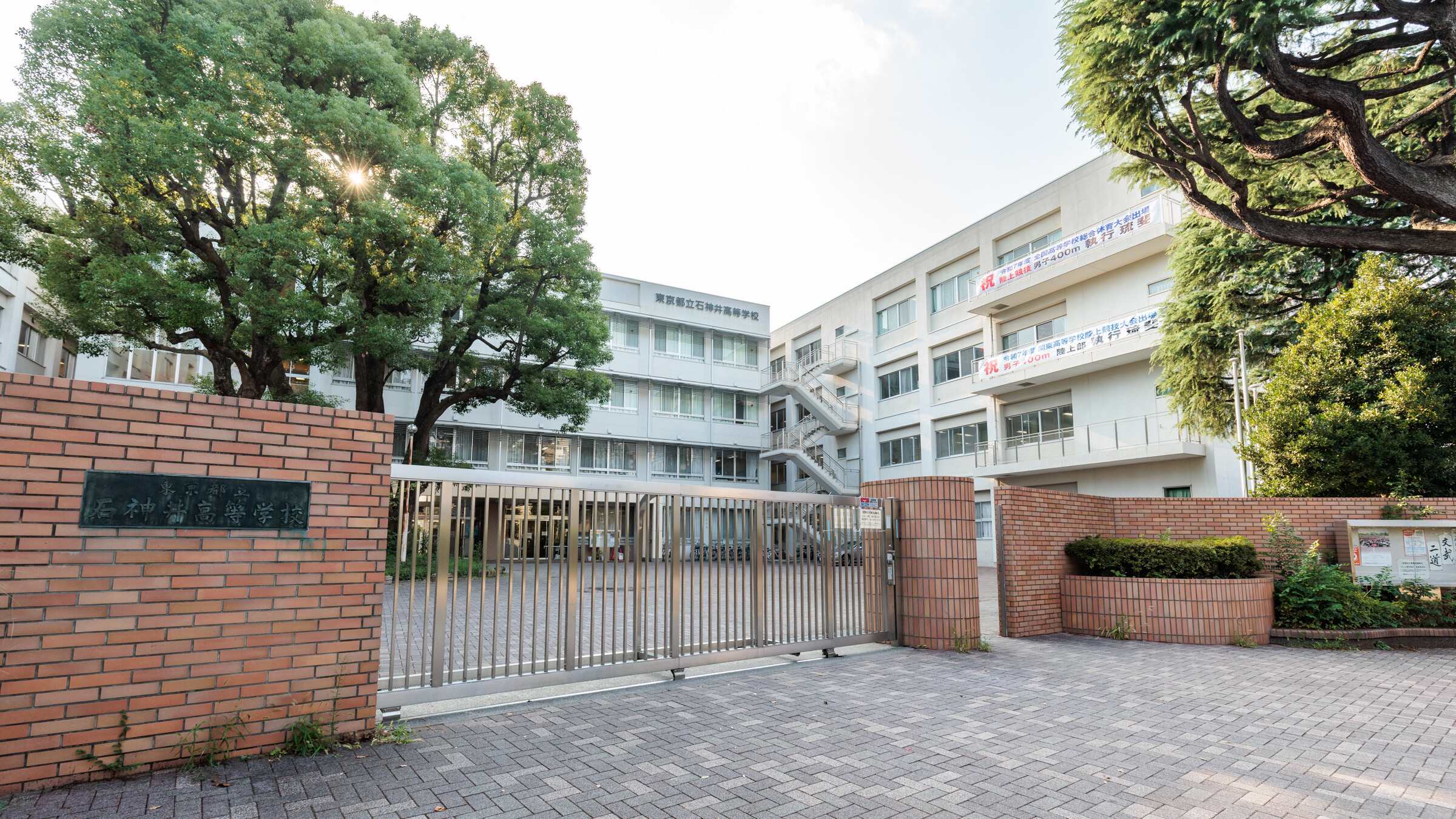 活動歴および当時の関連ビジュアル記録