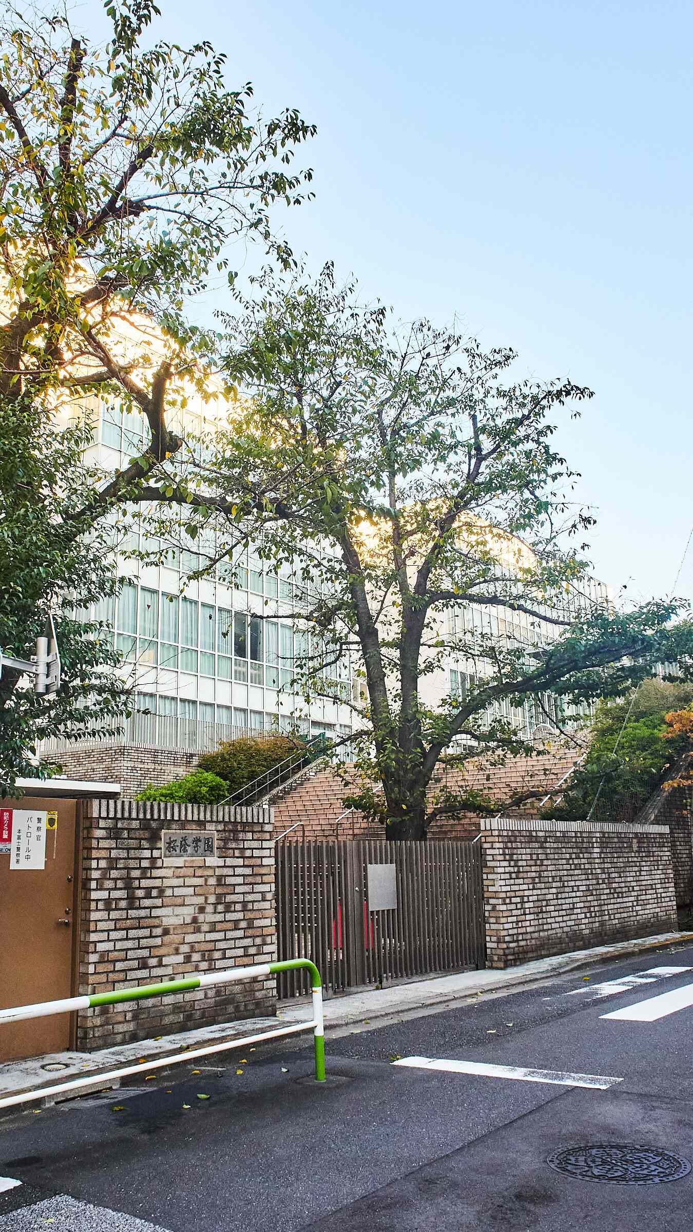 桜 蔭 高校