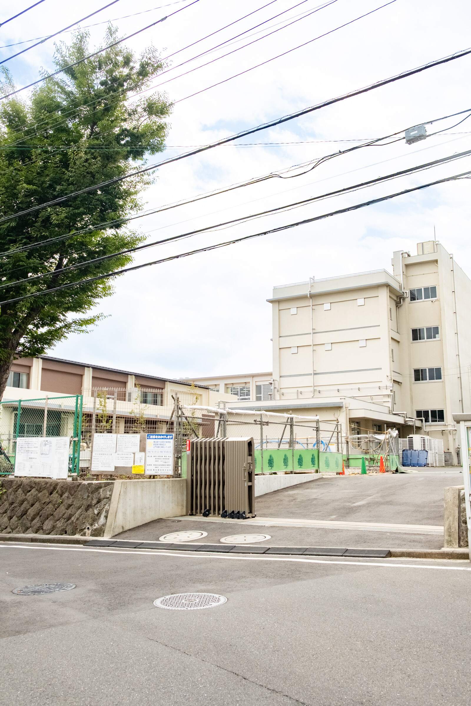 神奈川 県立 横浜 緑ケ丘 高等 学校