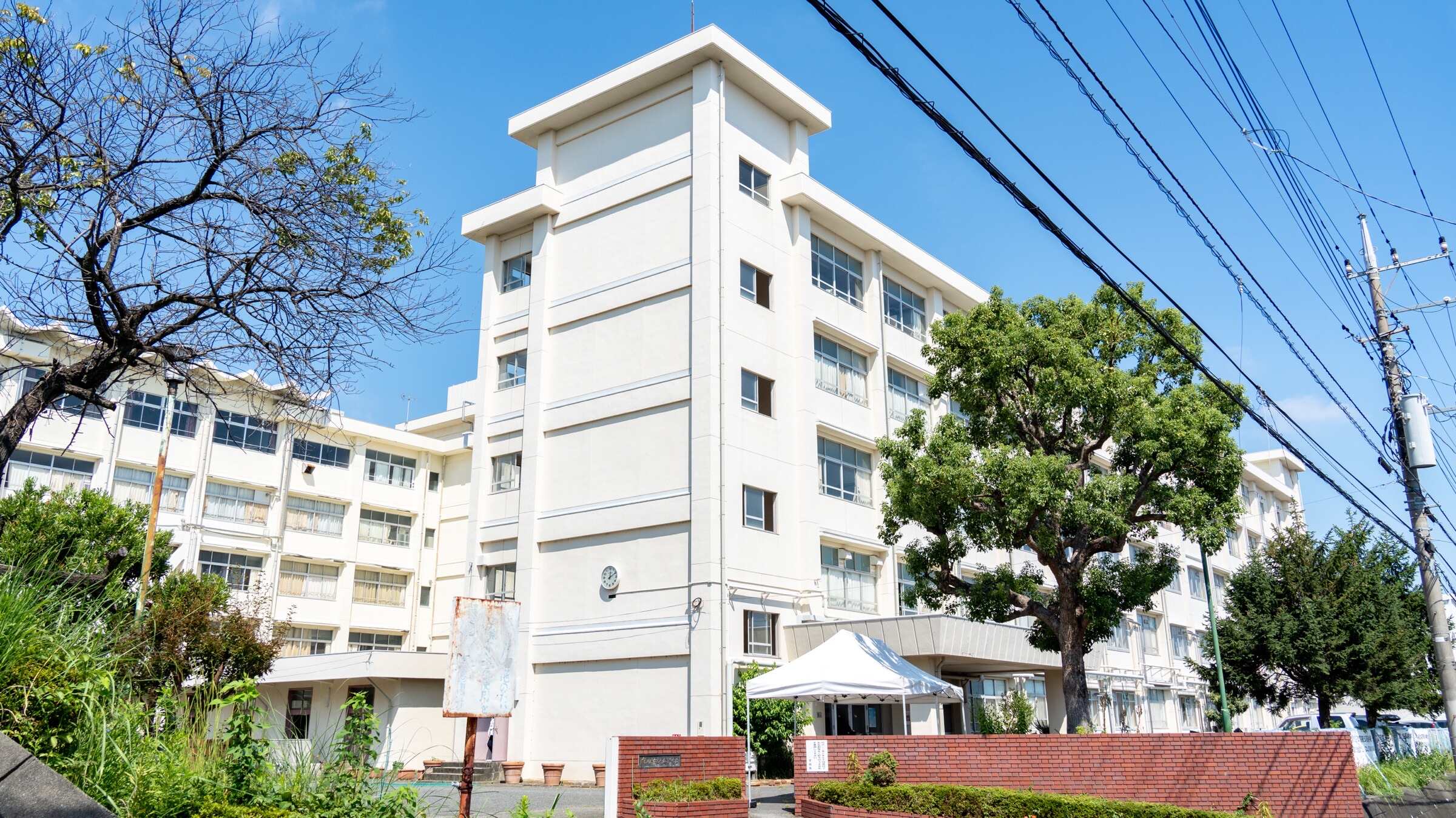 神奈川 県立 百合丘 高等 学校