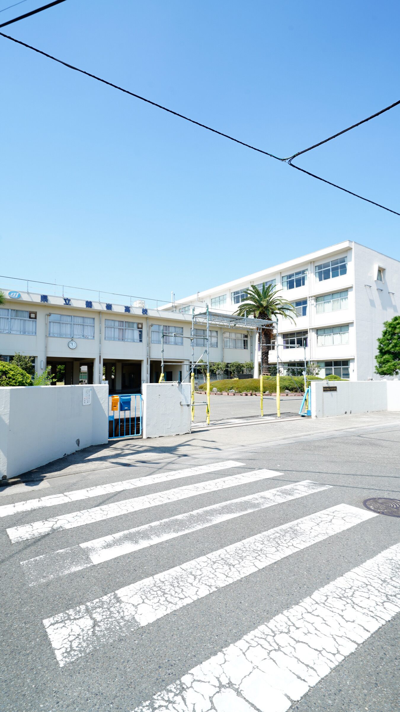 鶴 嶺 高校