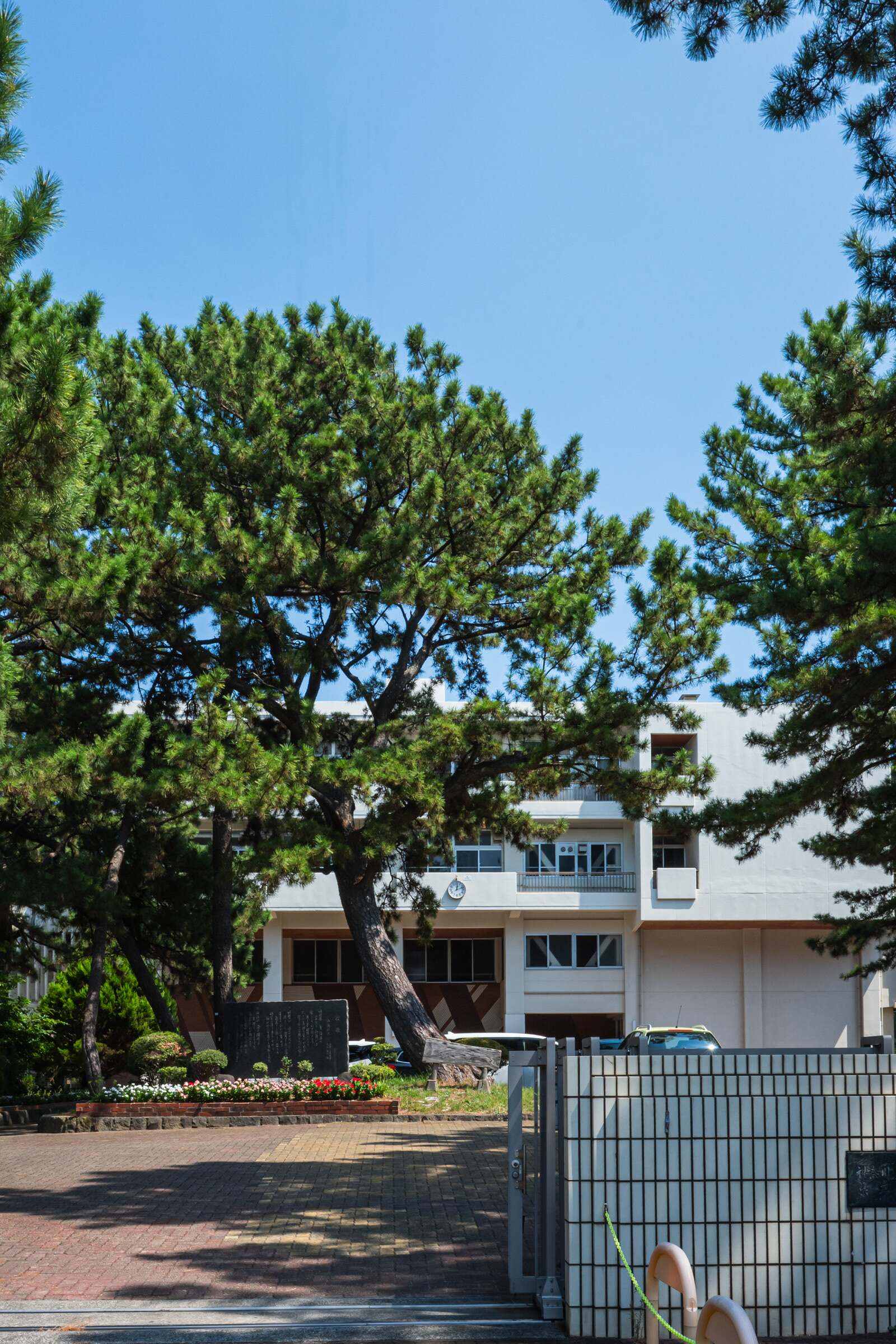公の場での発言・インタビュー報道記録