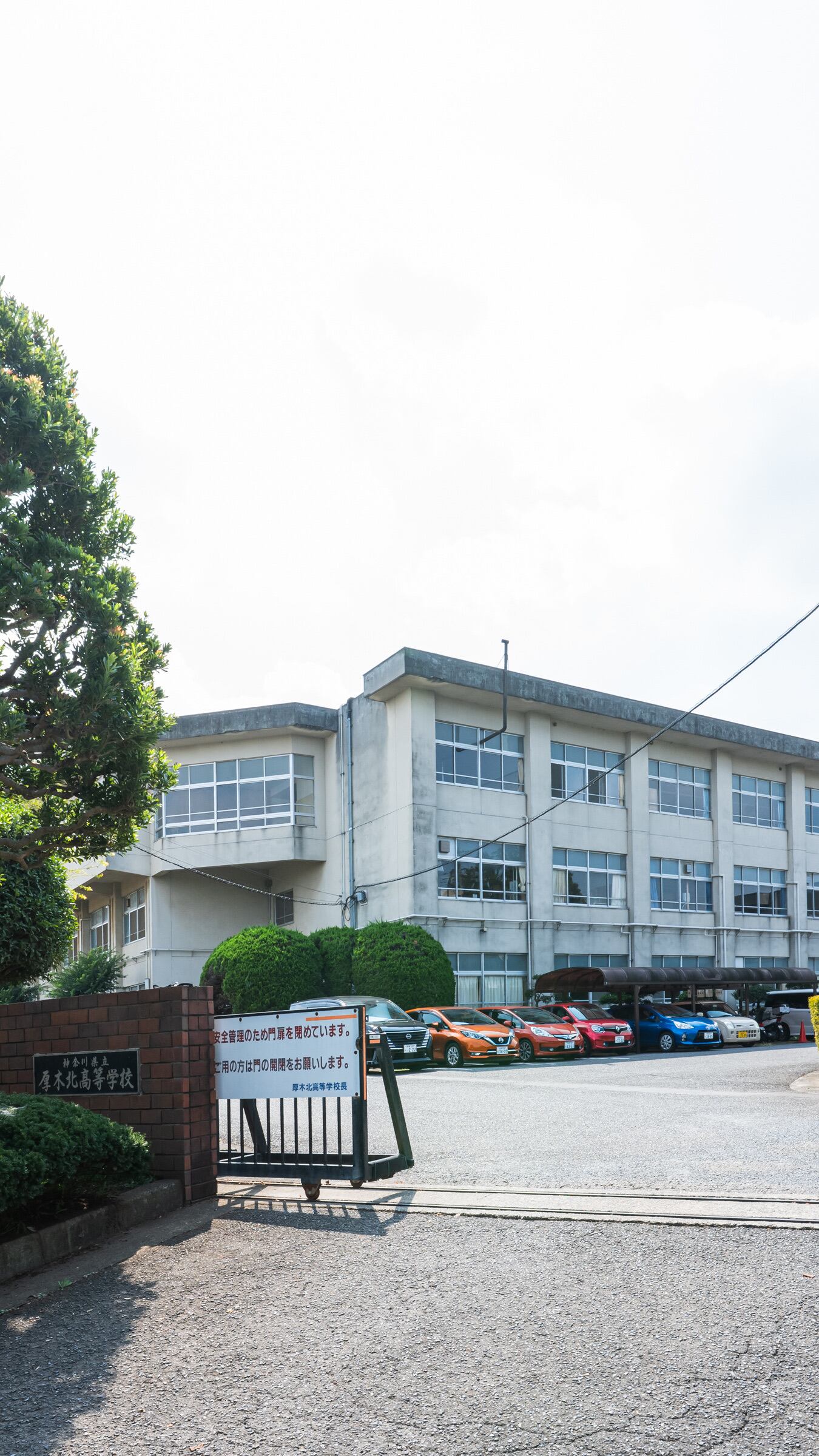 活動歴および当時の関連ビジュアル記録