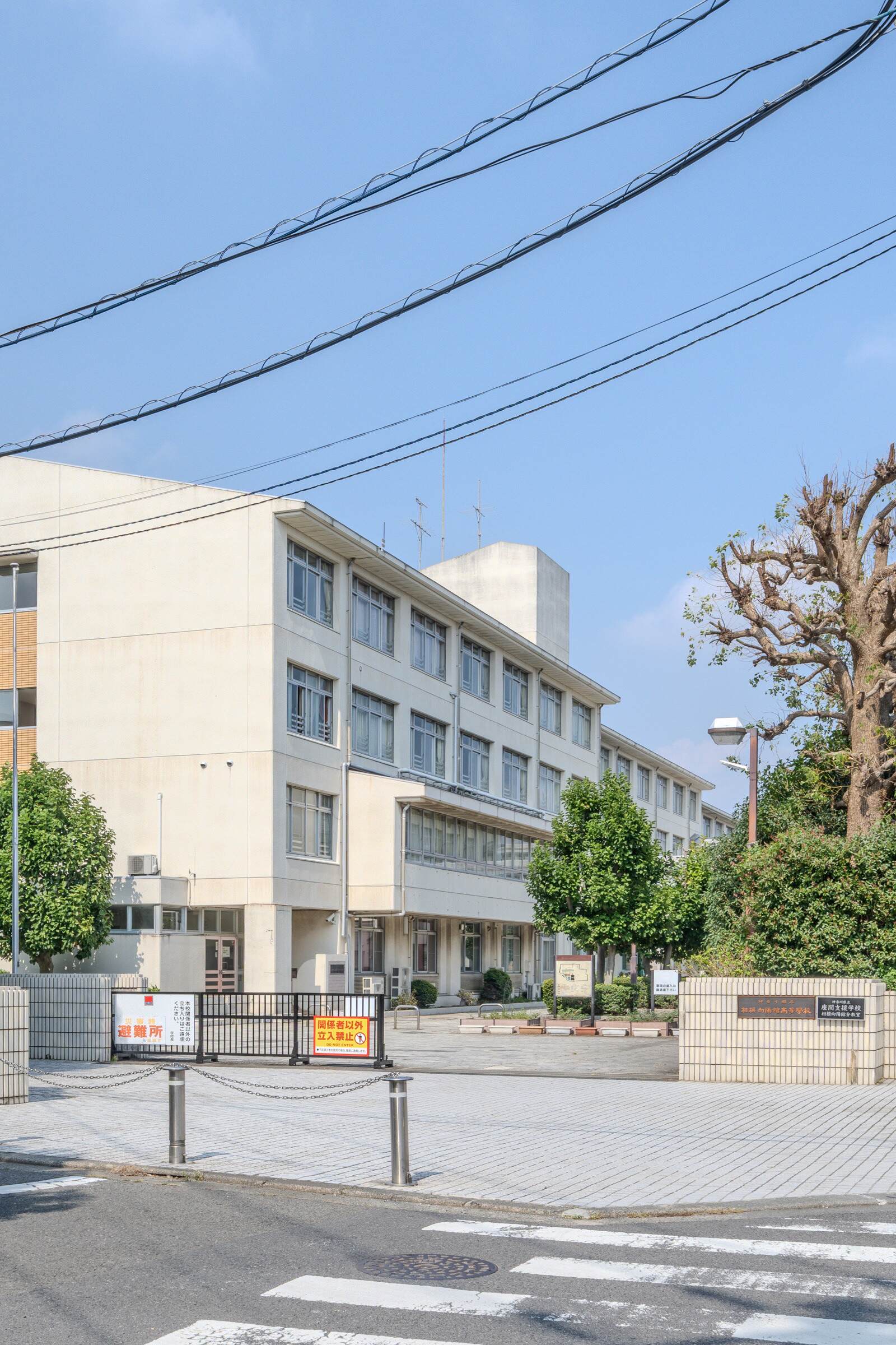 公の場での発言・インタビュー報道記録